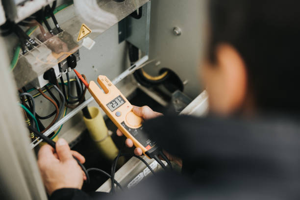 Best Electrician for Home Renovation  in Oreana, IL