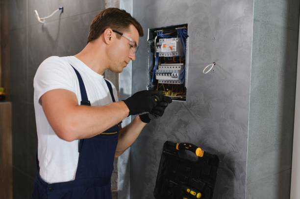 Best 24-Hour Electrician  in Oreana, IL
