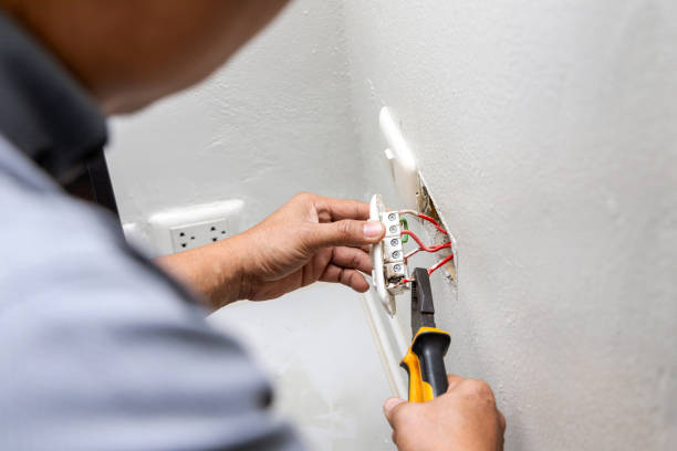 Best Electrical Upgrades for Homes  in Oreana, IL