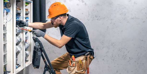 Best Electrical Upgrades for Homes  in Oreana, IL